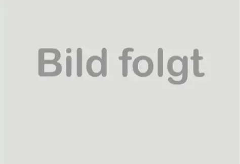 Elif Sengül, Rechtsanwältin